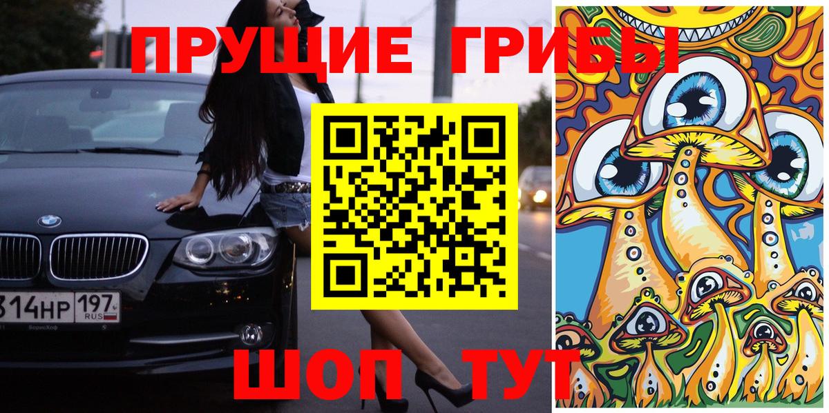 Галлюциногенные грибы прущие грибы  Вход с VPN  Псилоцибиновые грибы мицелий  Котлас 